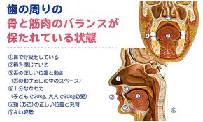 口のバランス.jpg