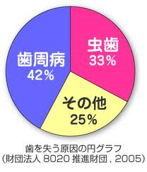 歯を失う原因.png