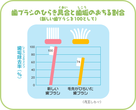 歯ブラシ 毛先.gif