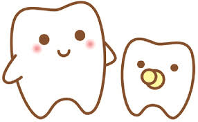 乳歯と永久歯.jpg