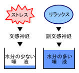 D唾液とストレス.jpg