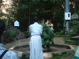 DSC08398.jpg