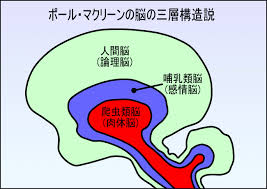 N人間脳.jpg