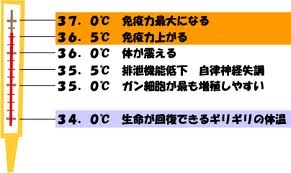 T体温と免疫力.png