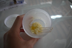 乳しぼりとバター作り体験